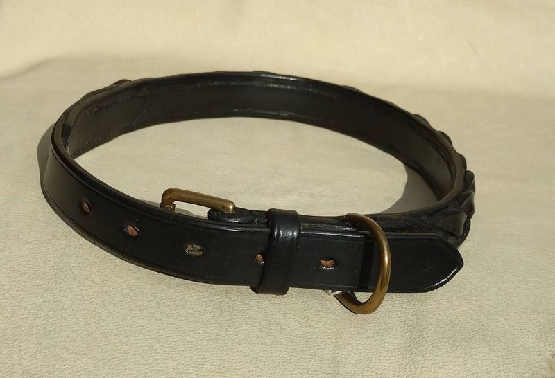 Ready Stock 7/8" Plait Style Collar