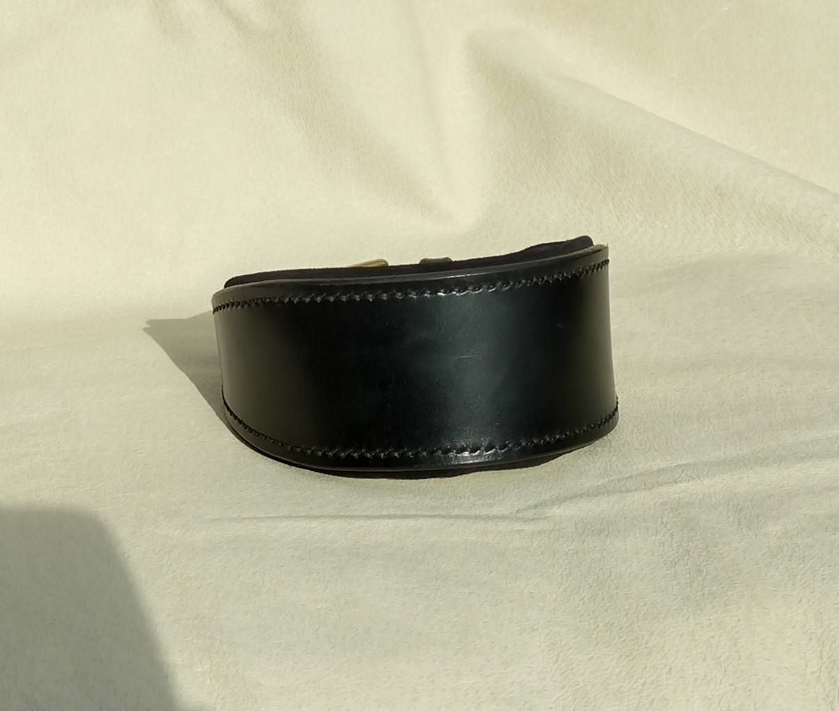 Ready Stock Sighthound Padded Collar Ready Stock Sighthound Padded Collar