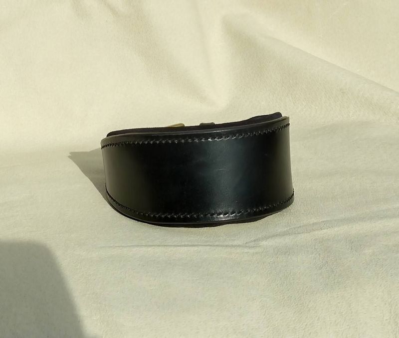 Ready Stock Sighthound Padded Collar Ready Stock Sighthound Padded Collar