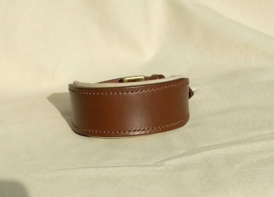 Ready Stock Sighthound Padded Collar Ready Stock Sighthound Padded Collar