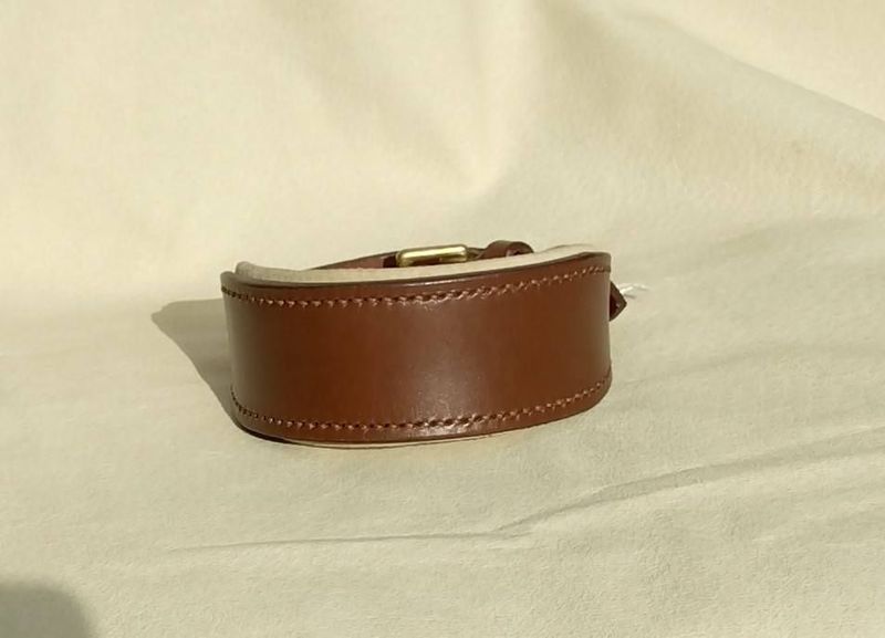 Ready Stock Sighthound Padded Collar Ready Stock Sighthound Padded Collar