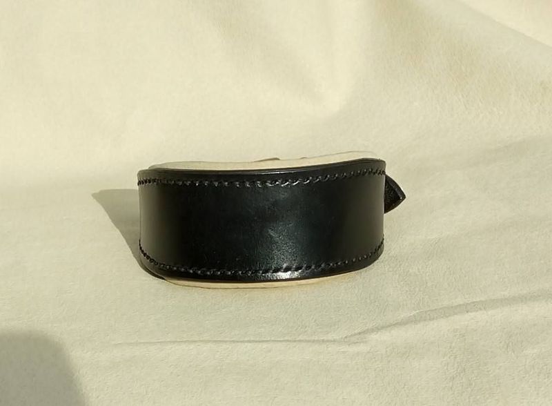 Ready Stock Padded Sighthound Collar Ready Stock Padded Sighthound Collar