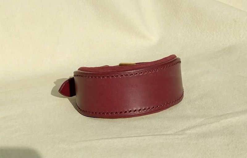 Ready Stock Padded Sighthound Collar Ready Stock Padded Sighthound Collar