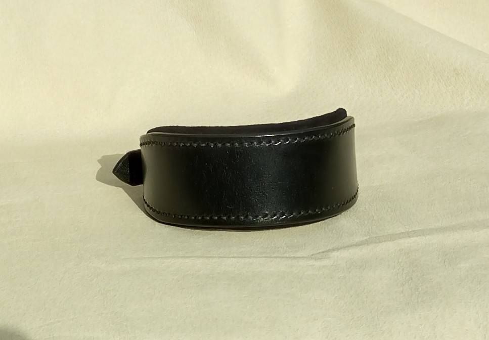 Ready Stock Padded Sighthound Collar