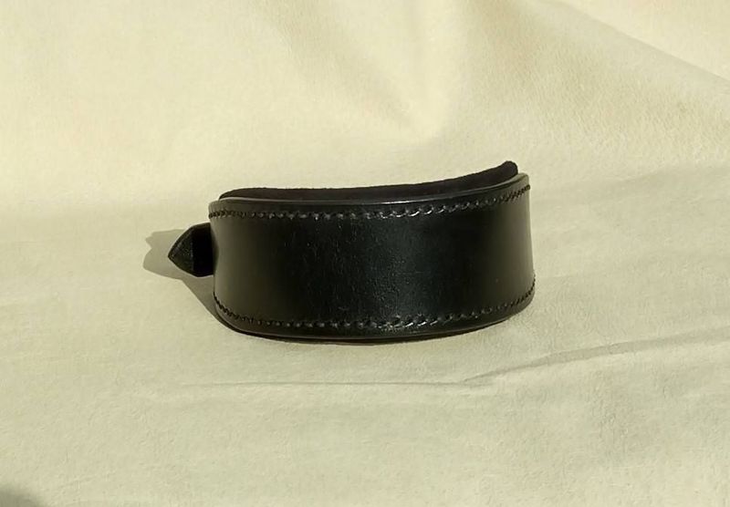Ready Stock Padded Sighthound Collar Ready Stock Padded Sighthound Collar