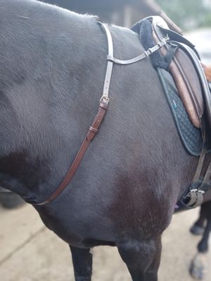 Neck Straps