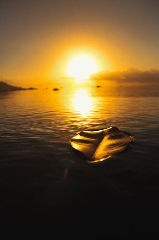 Sunbeam