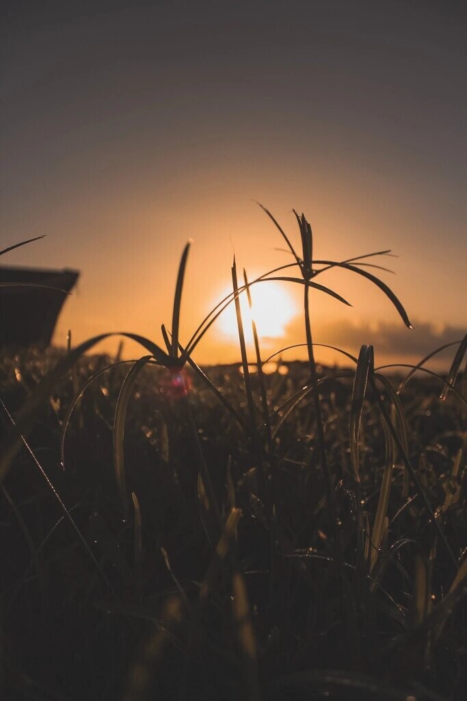 SunBeam #2