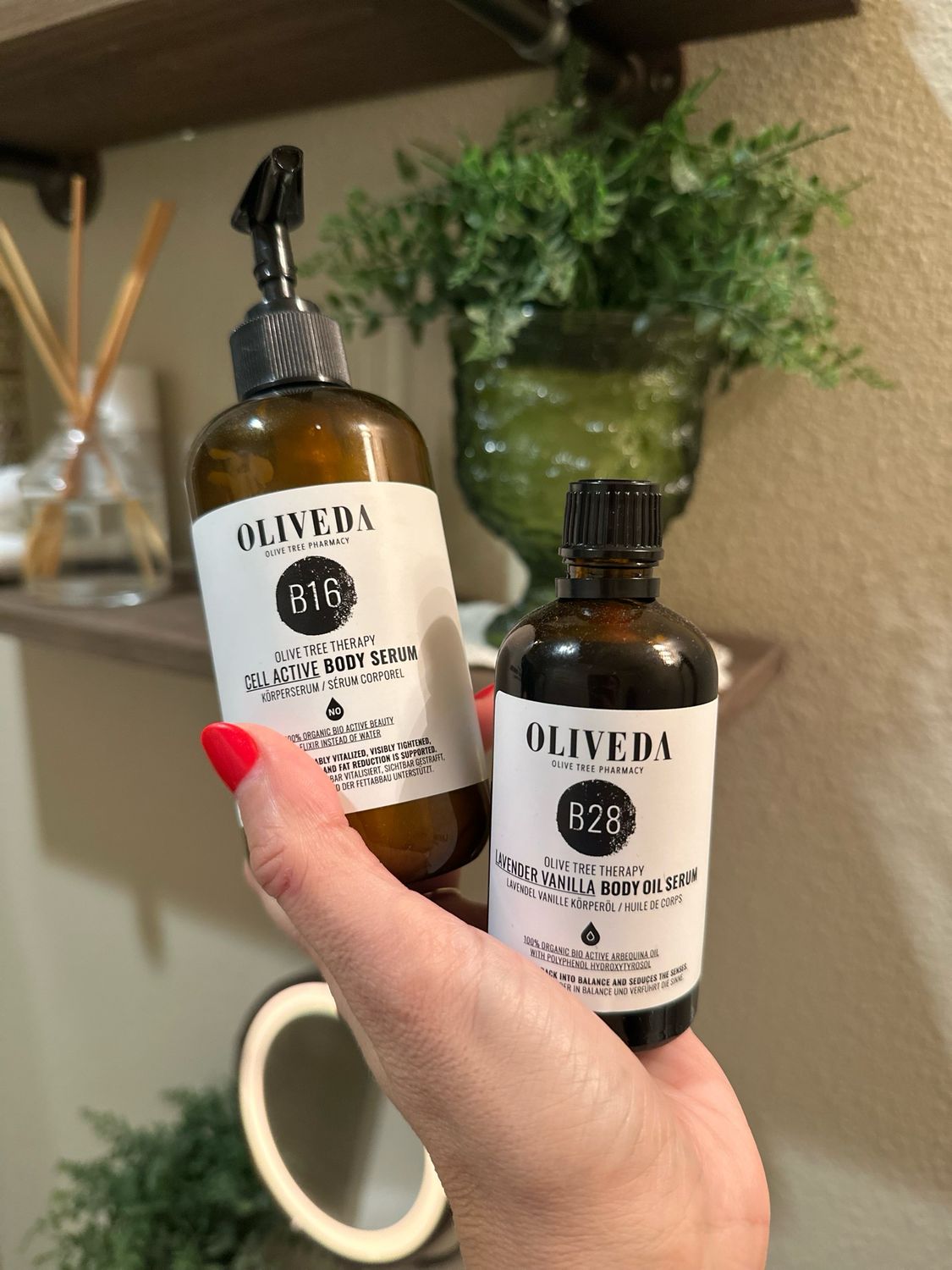 B16 &amp; B28 Body Duo