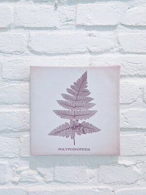 Fern Canvas Print - American Small Business Made