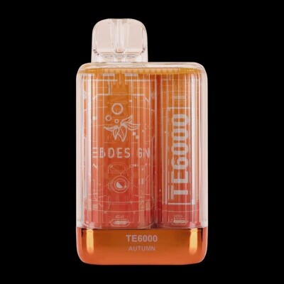 Autumn-Elf Bar TE Rechargeable 6000