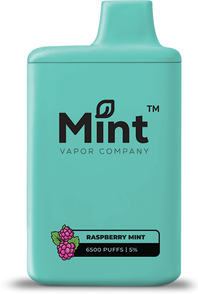 Raspberry Mint-MINT MNKE BARS Rechargeable 6500