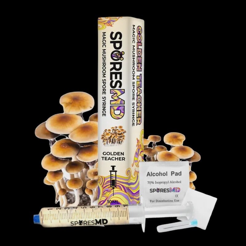 Golden Teacher Syringe | 10ml