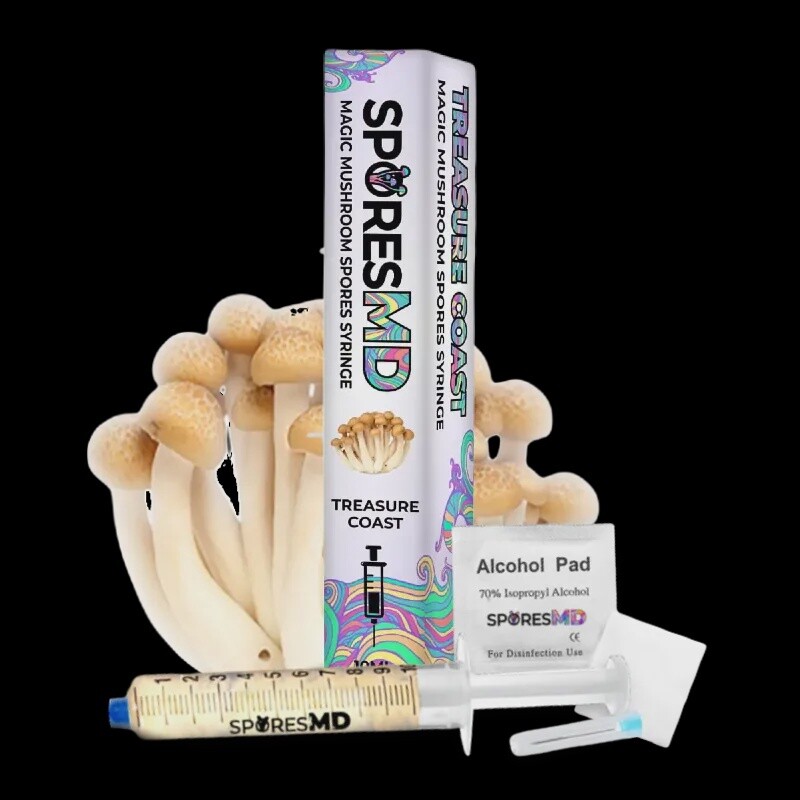 Treasure Coast Syringe | 10ml