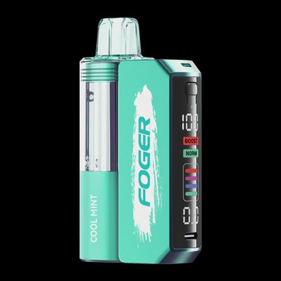 Cool Mint - Foger Switch Pro Kit 30000