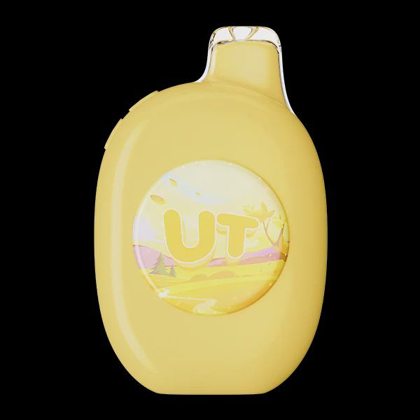 Passion Kiwi - Pineapple Rechargeable UT 50K