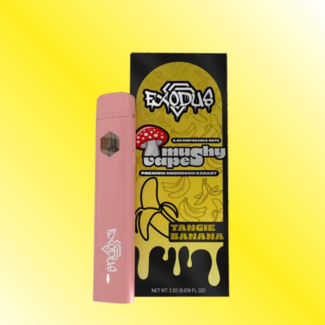 Tangie Banana-Exodus Disposable Vape 2.2g