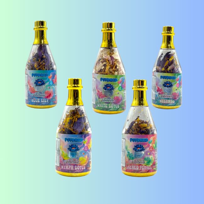 Blue L 3.5g Bottled Flower (Assorted Flavors) - Psyched