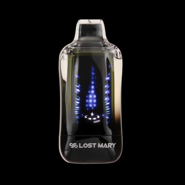 Blackberry Chill - Rechargeable Lost Mary VIZ 55k