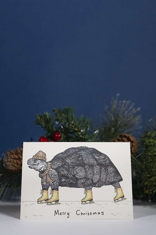 Edmund the Tortoise Christmas Card