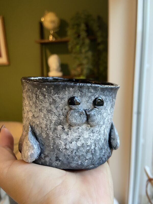 Chonk Storage Pot