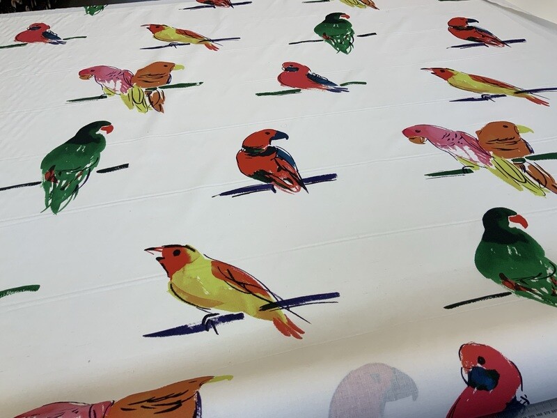 18958  BIRDS