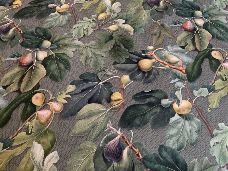 24588 FIGUES