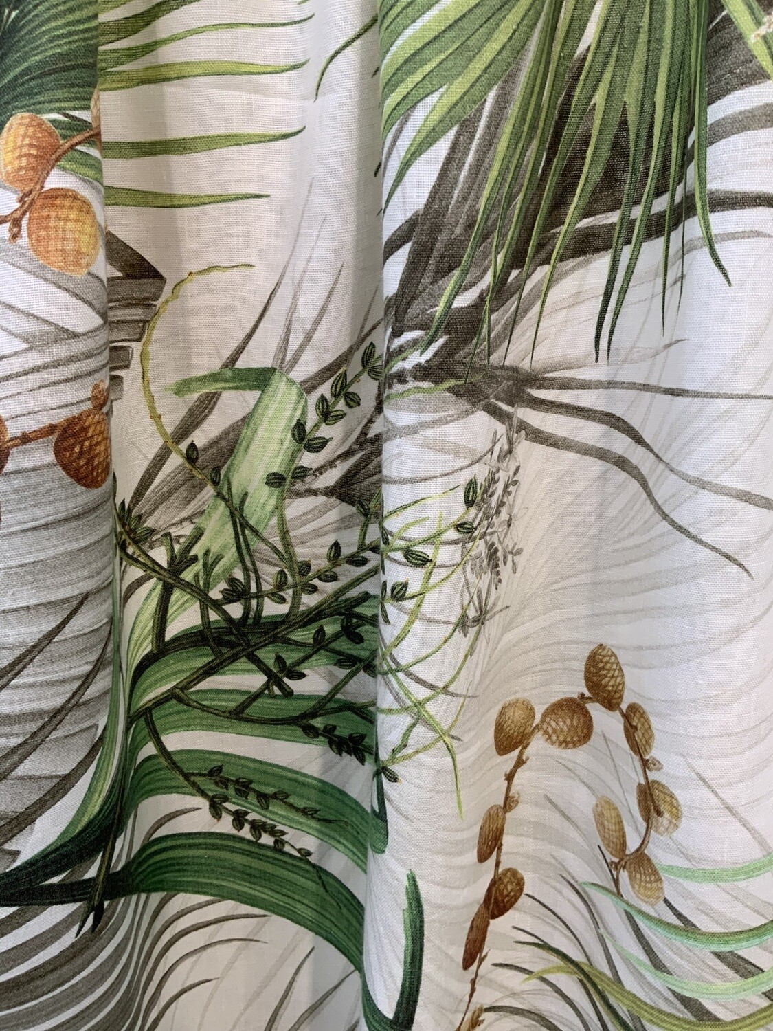 24743 PALMS & MORE
