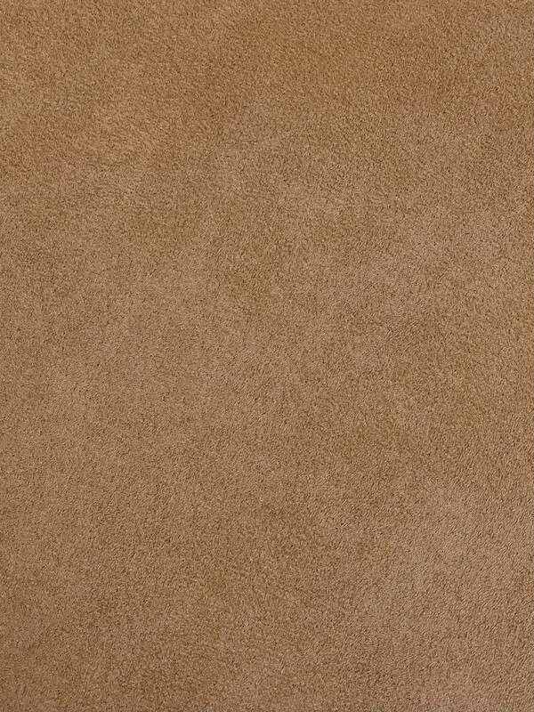 24334 CHAMOIS