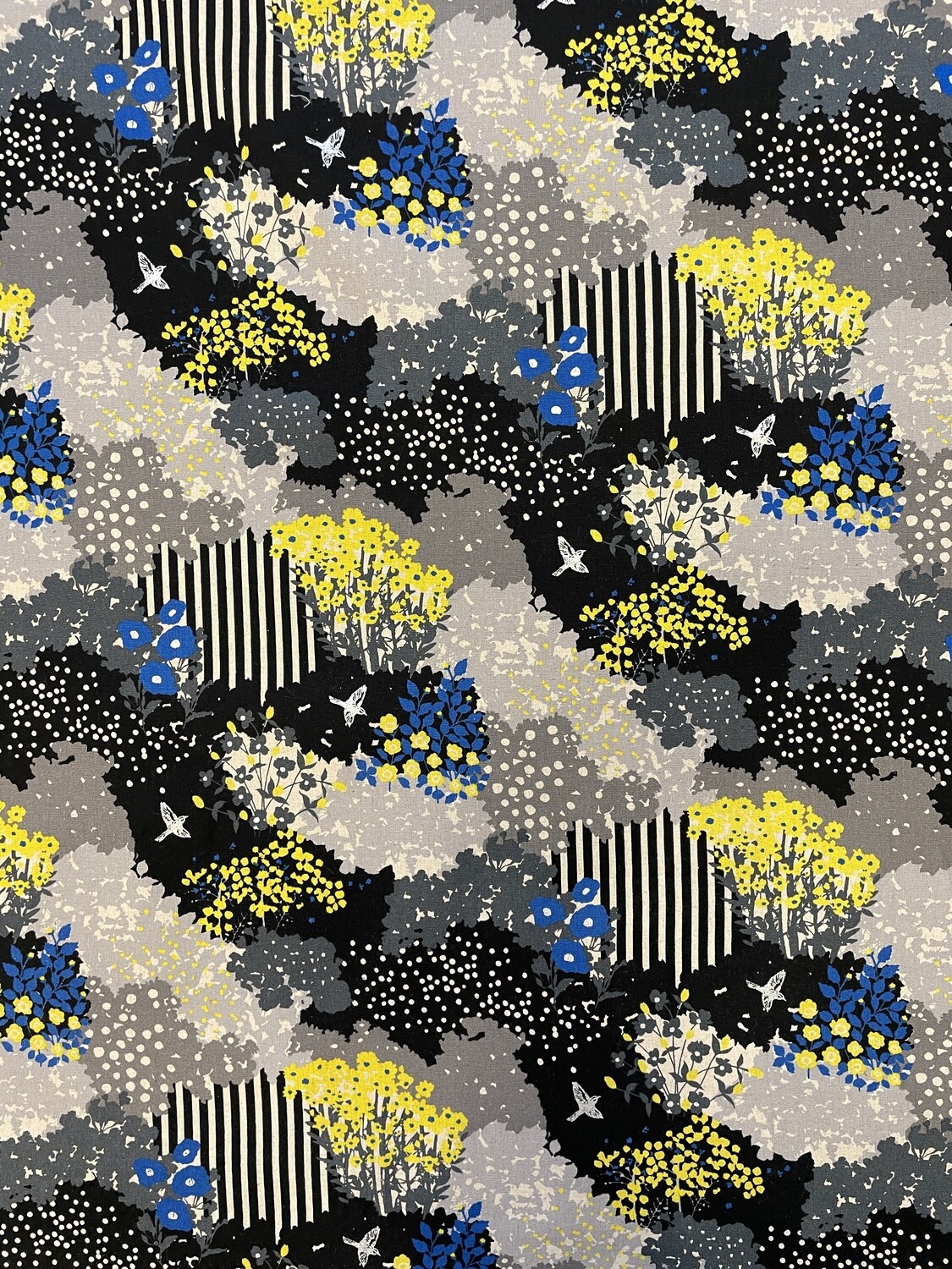 25003