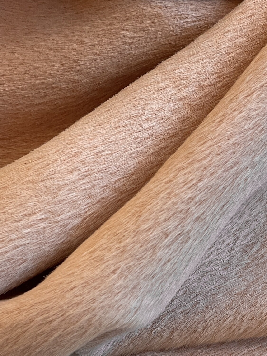 13880