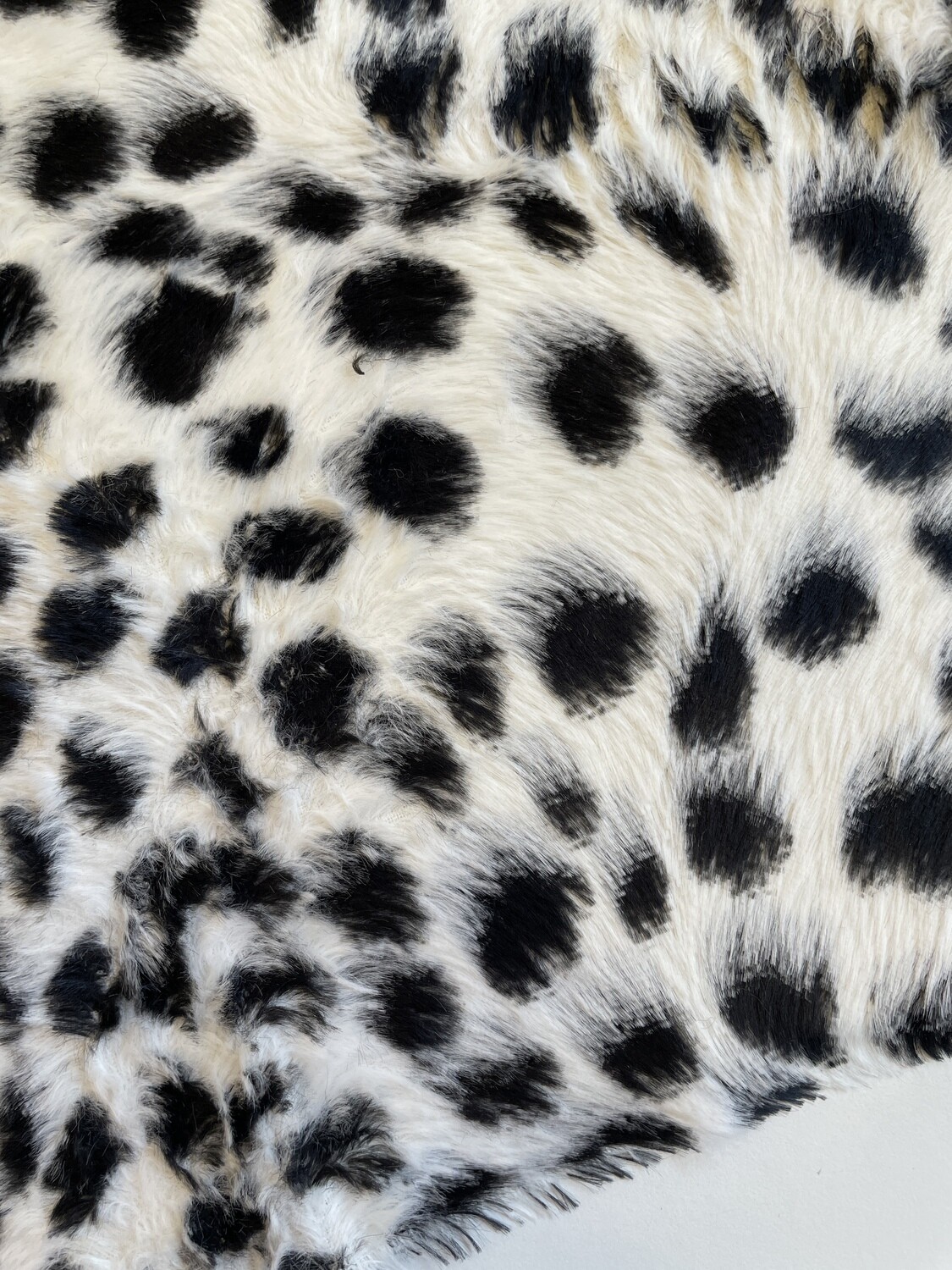 12113 DALMATIEN