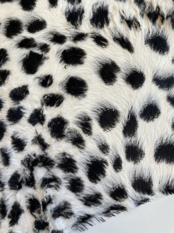12113 DALMATIEN