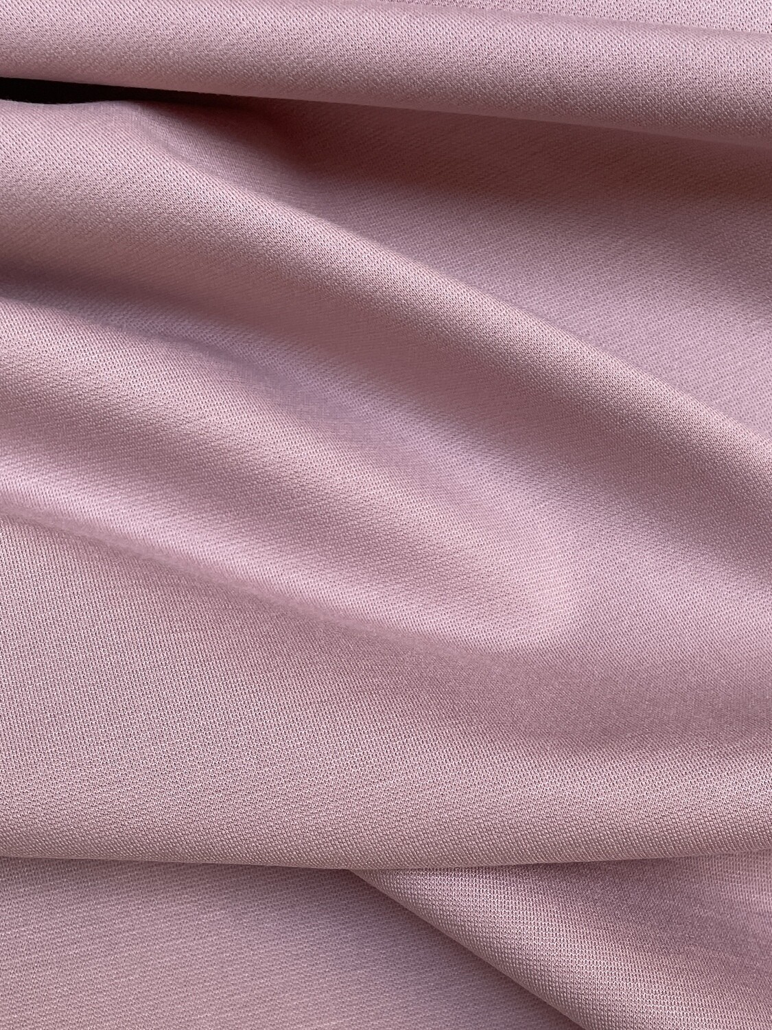 24294 Rose