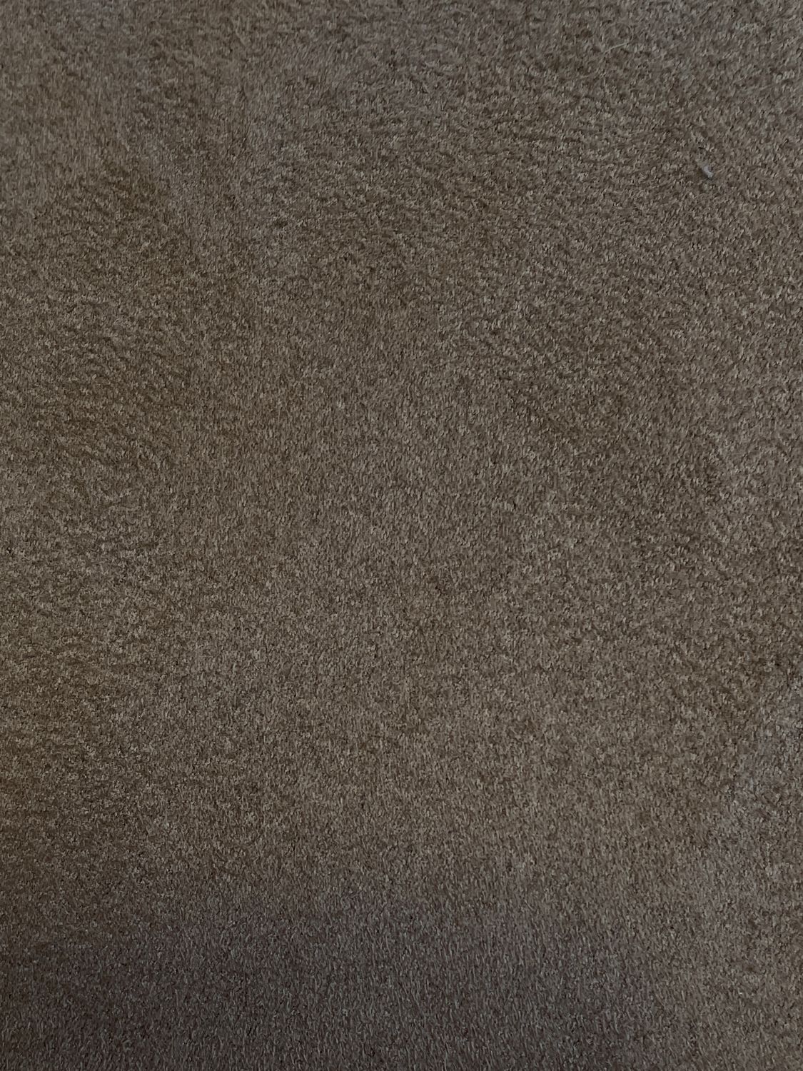 25966    TAUPE