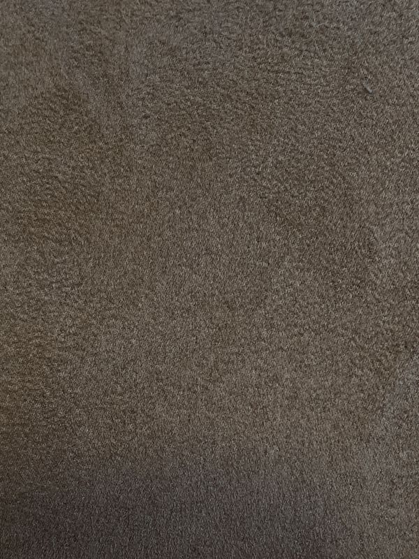 25966    TAUPE