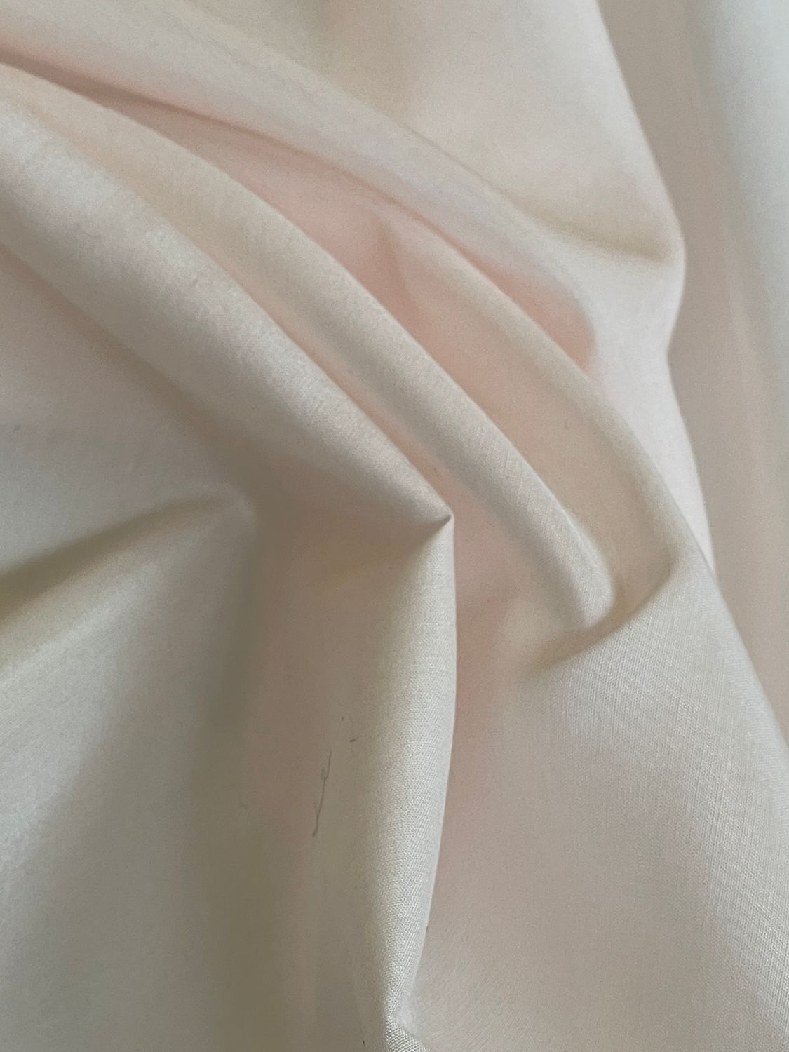 26213 PALE ROSE