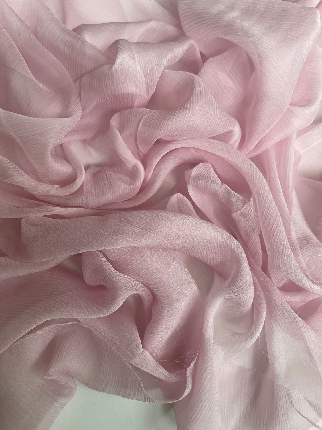 25537 Rose