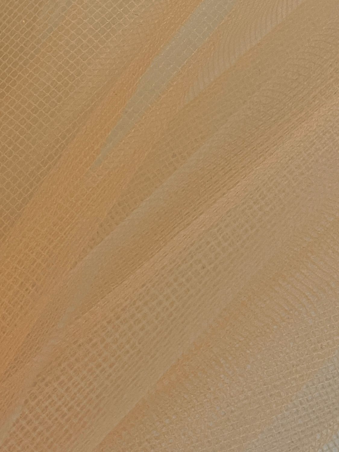 23141 ABRICOT
