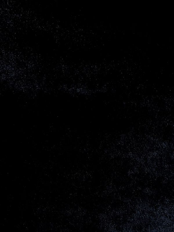 6602 B  Black Panther