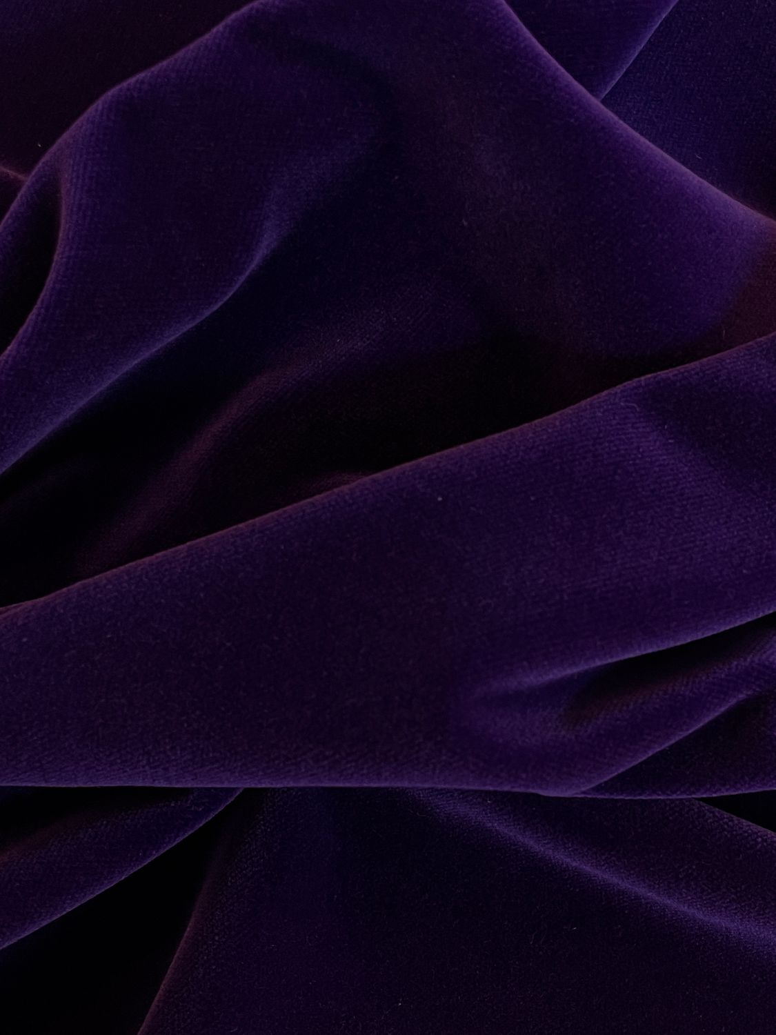 35458 Violet