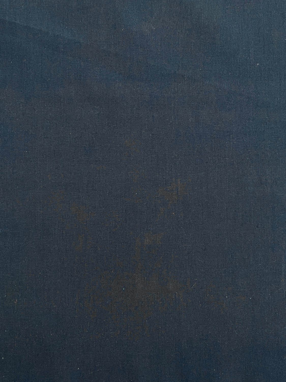 26653 BLUE/PRUPLE  POPELINE