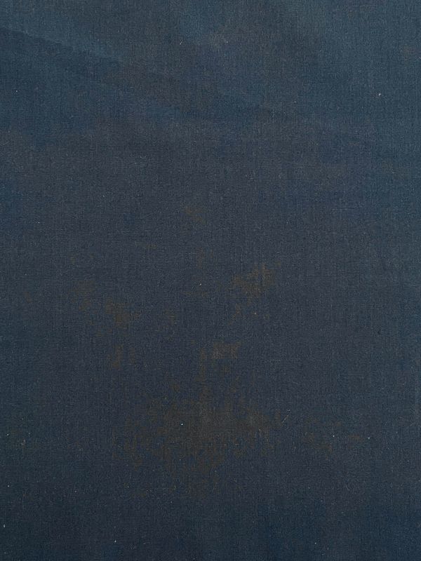 26653 BLUE/PRUPLE  POPELINE