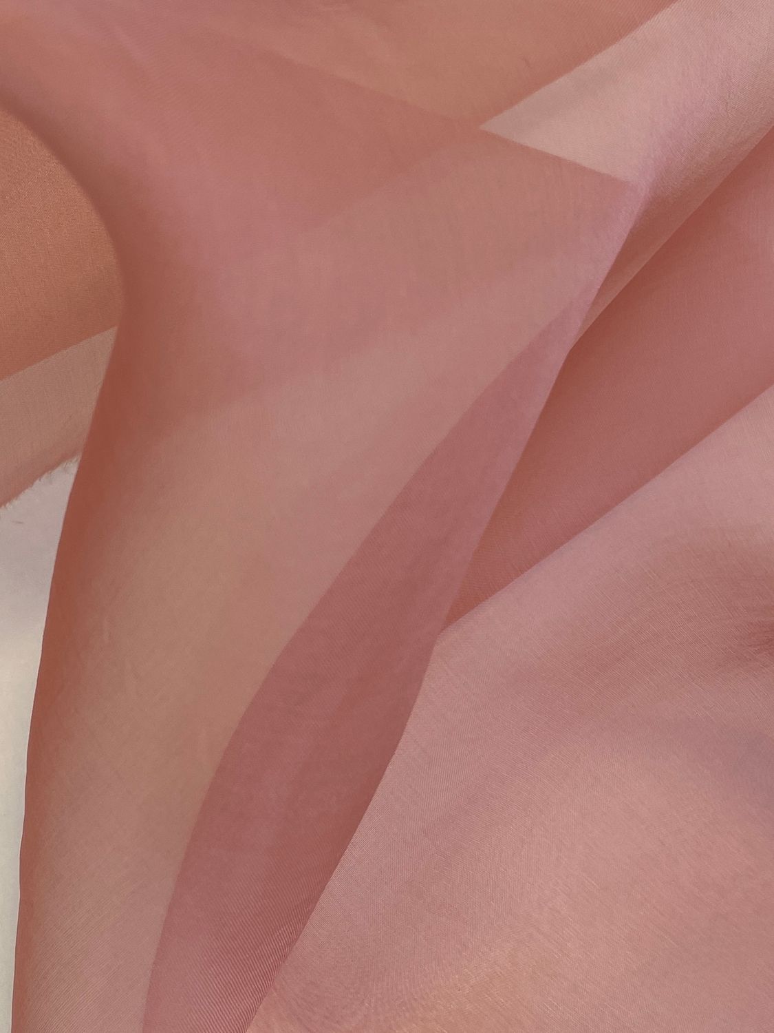 26687 Rose
