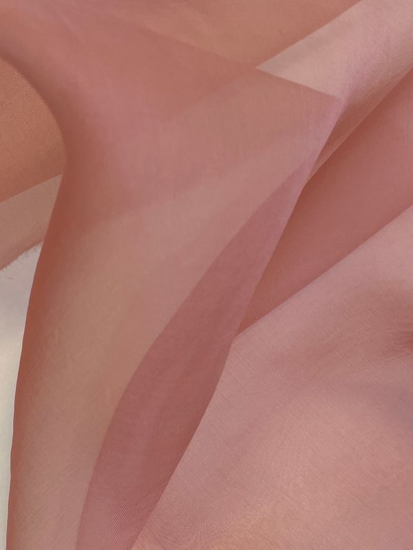 26687 Rose