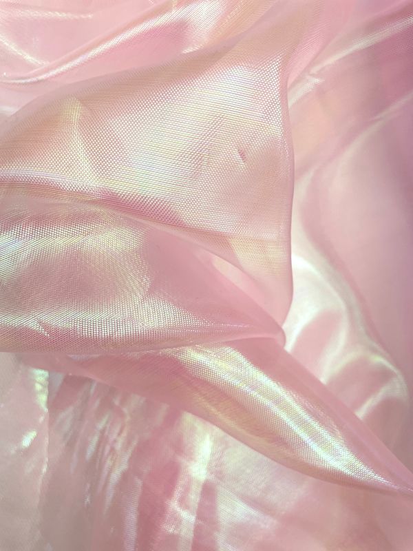 25237 rose