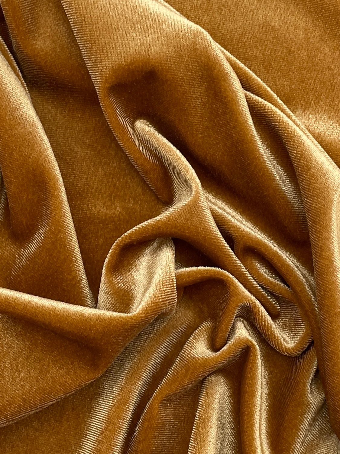 35509 SENAPE ORO