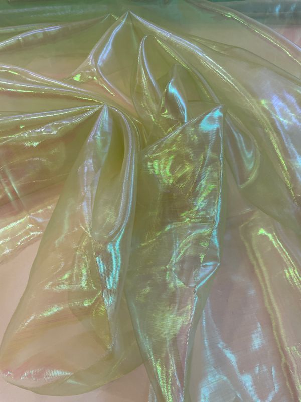 27057 Libelle  irisé