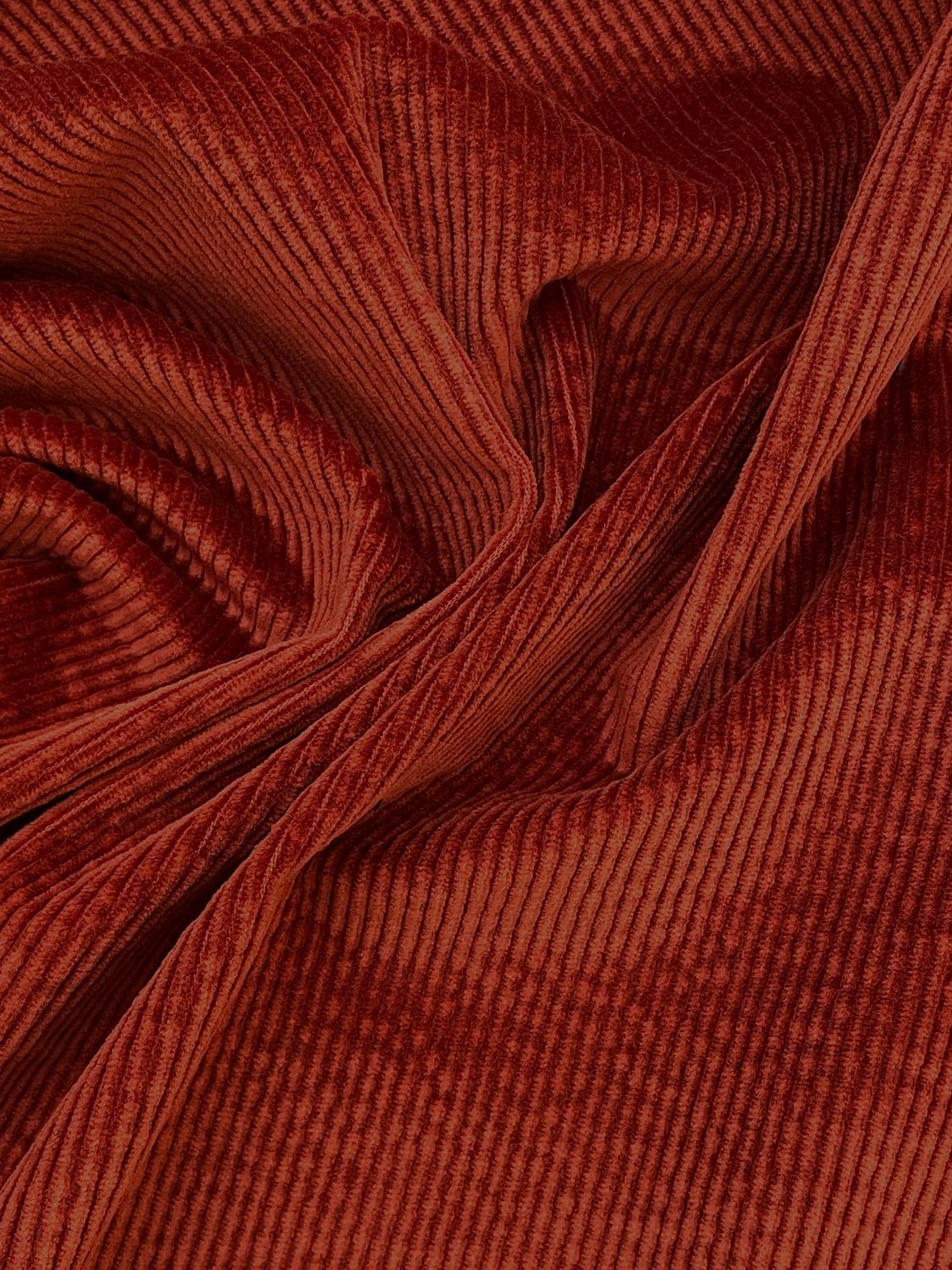 35601 Ecureuil Stretch