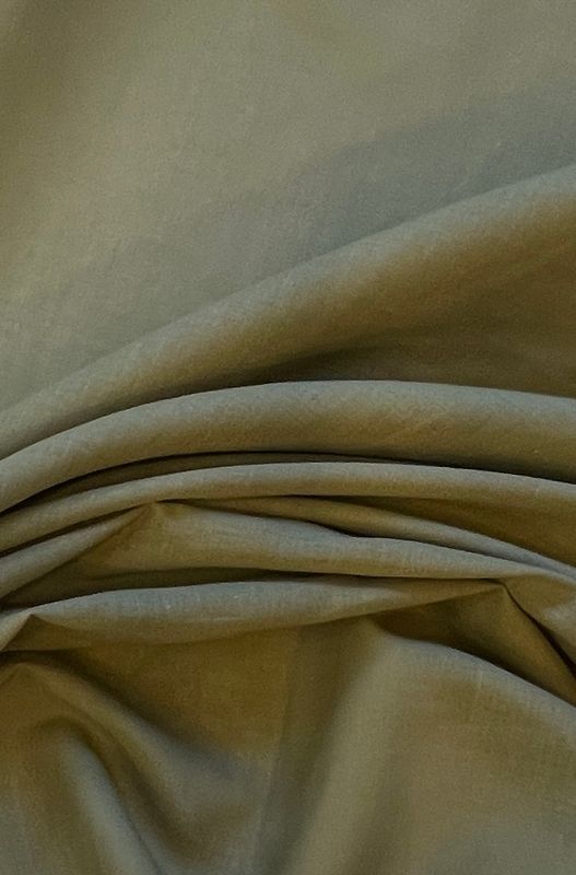 22641 Batist Olive